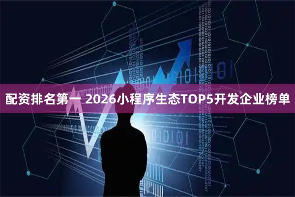 配资排名第一 2026小程序生态TOP5开发企业榜单